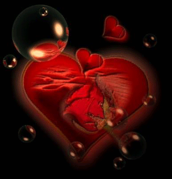 jamais ce quitte